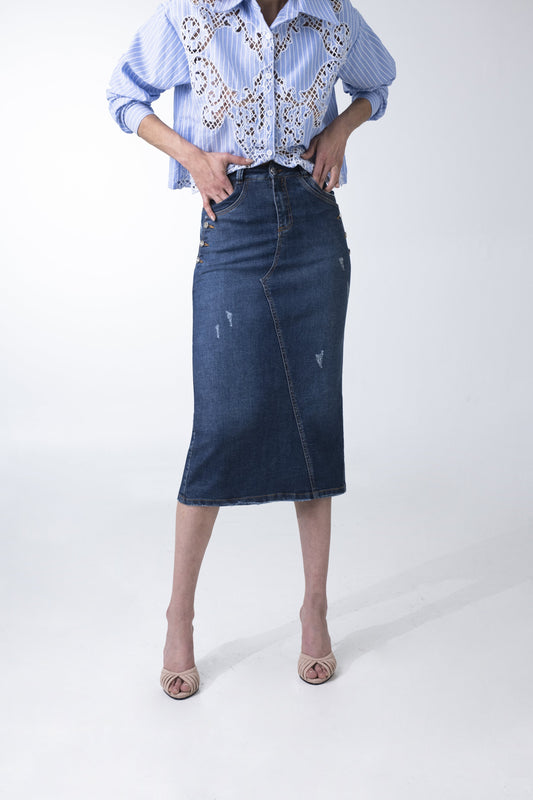Bouvier Distressed 3.jpg