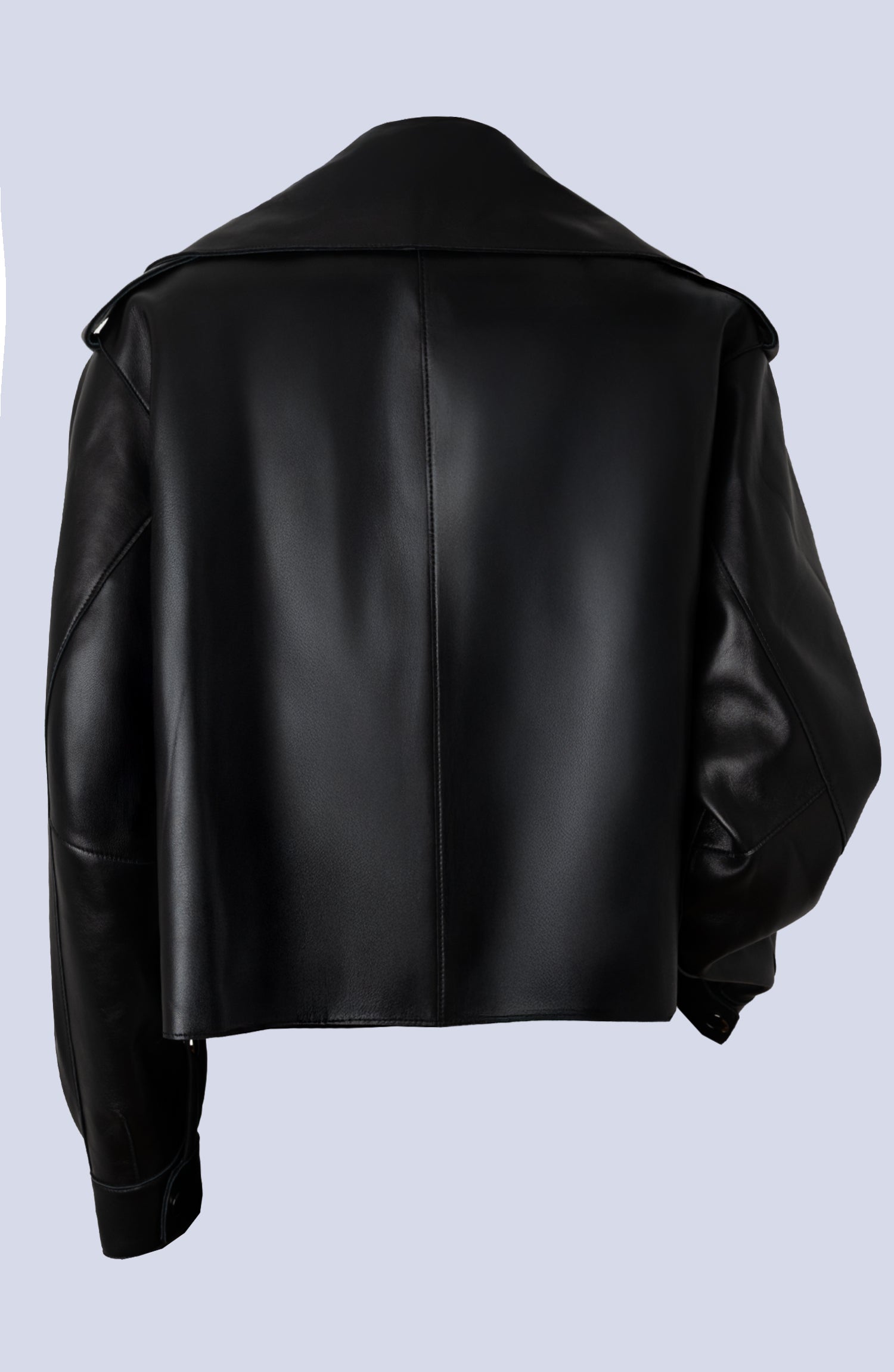 Lamb Leather Crop Moto Trench – Alvin Valley